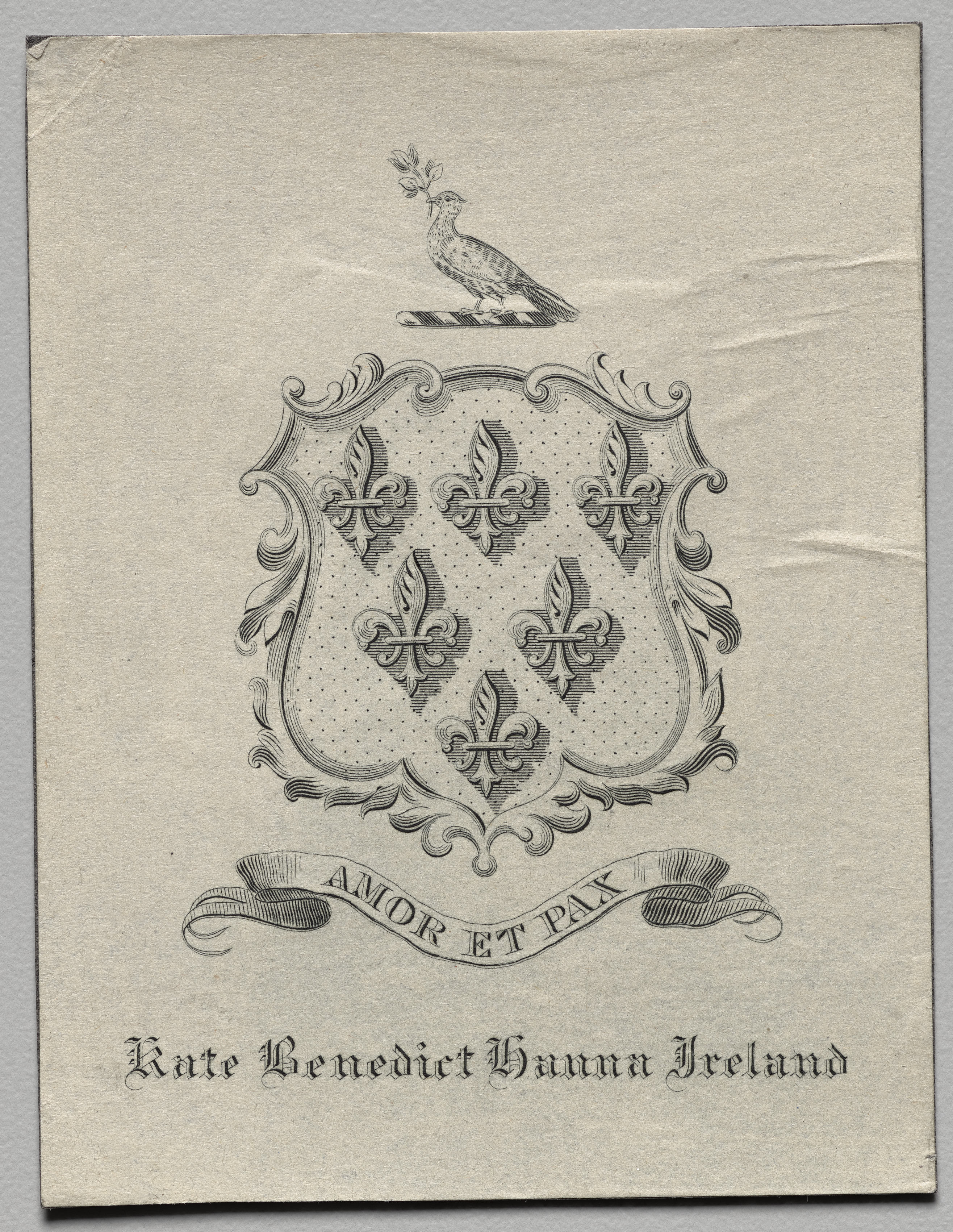 Unknown artist, Bookplate: Kate Benedict Hanna Ireland