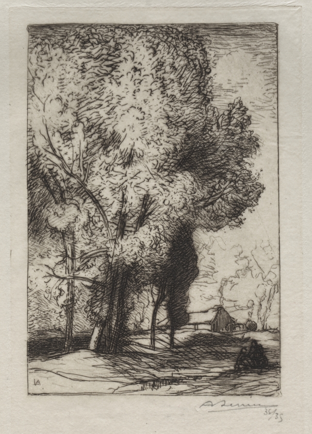 Bourrine dans les Peupliers