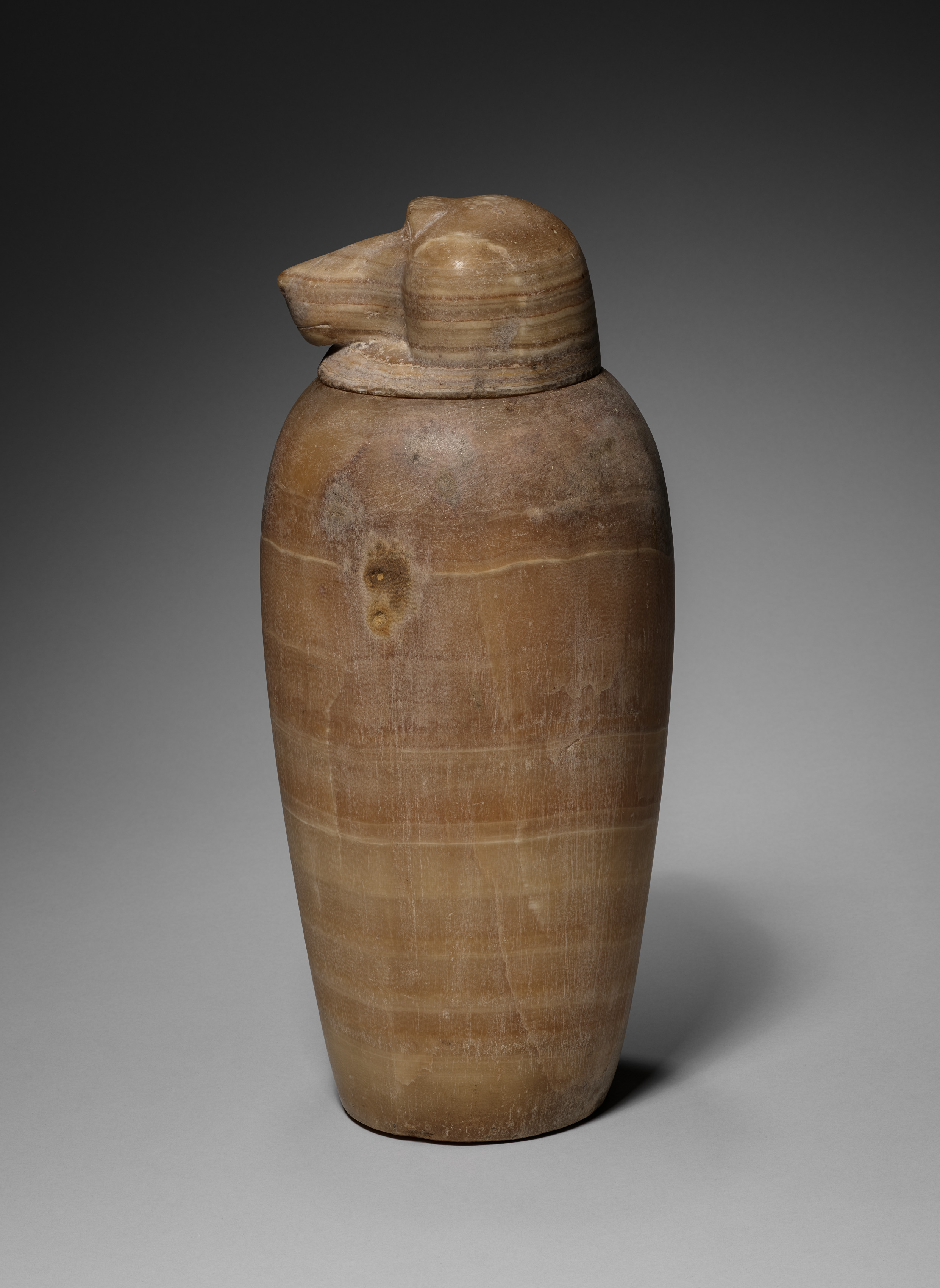 Canopic Jar with Baboon's Head | Cleveland Museum of Art