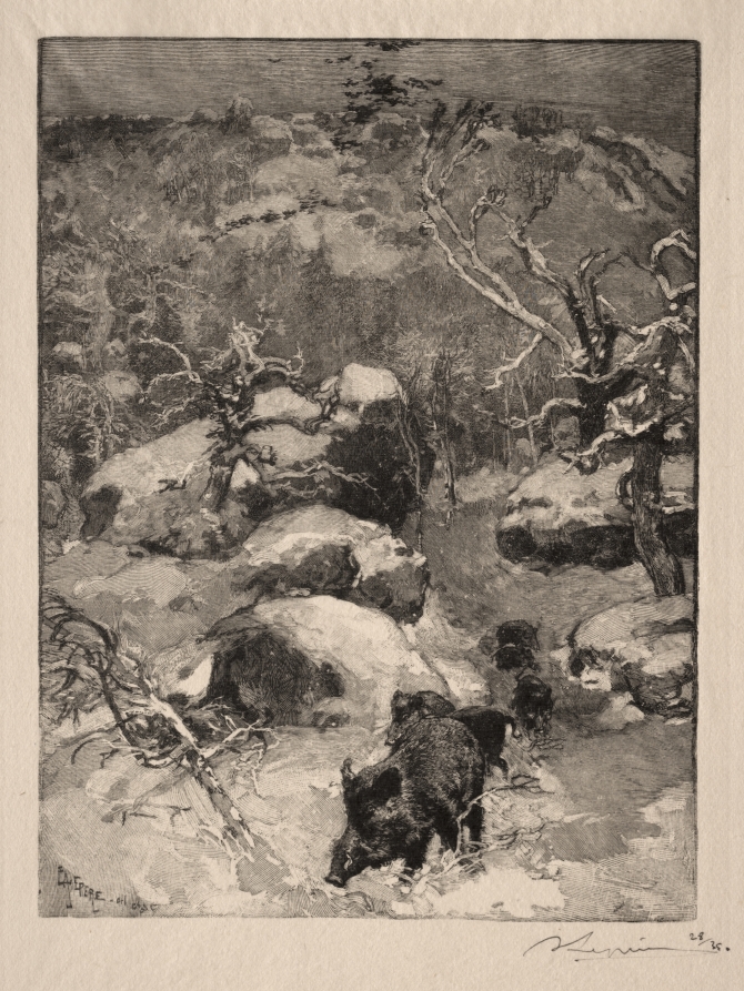 Roche Cuvier Chatillon