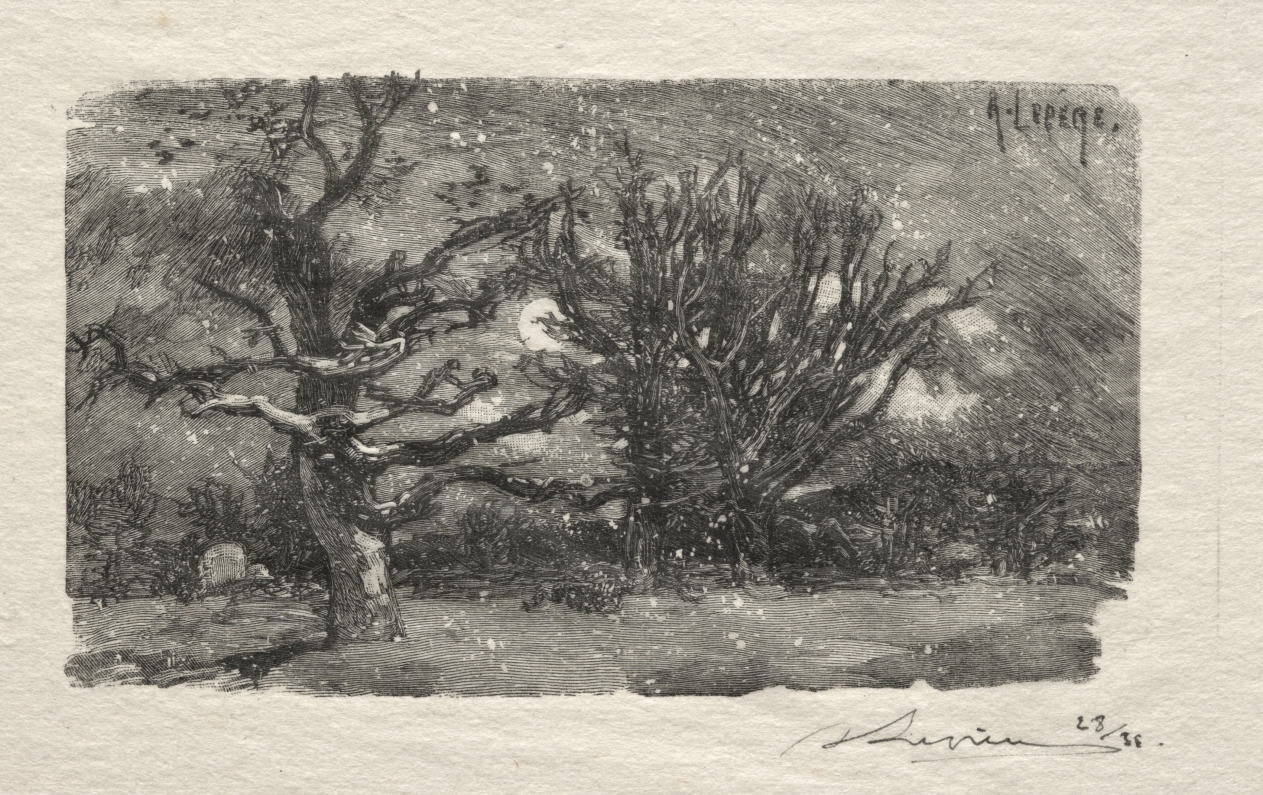 Au dormoir de Lantara