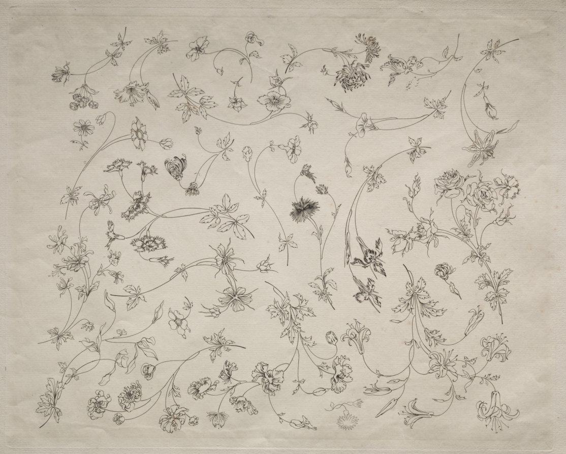 Flower designs for plates and borders (no. 14)