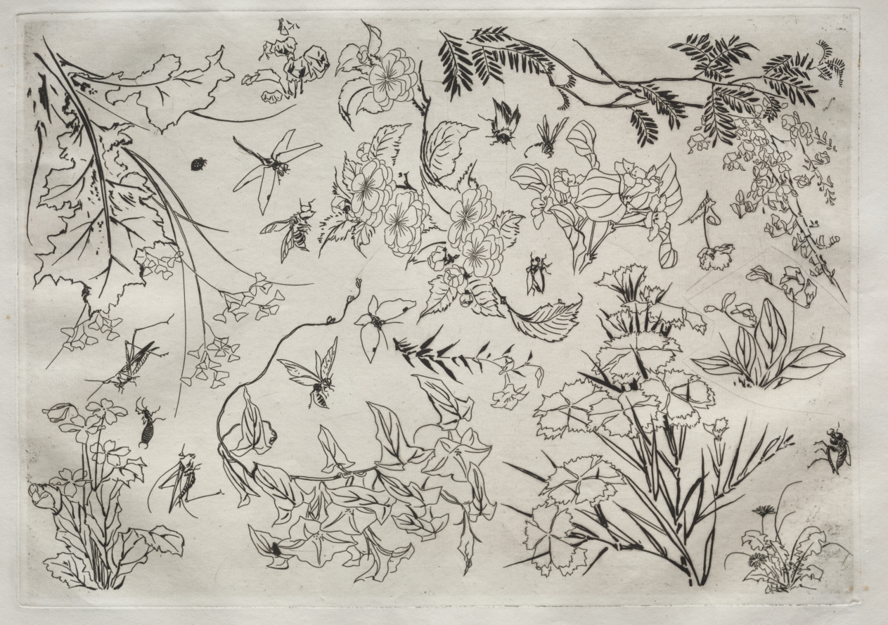 Dinner Service (Rousseau service): Flowers (no. 22)