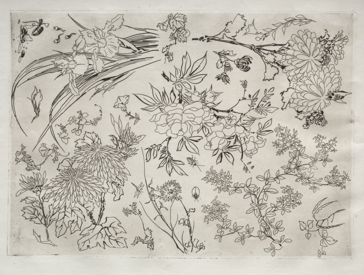 Dinner Service (Rousseau service): Flowers (no. 23)