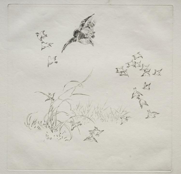 Parisian Service (Haviland service): The Terror (no. 4)