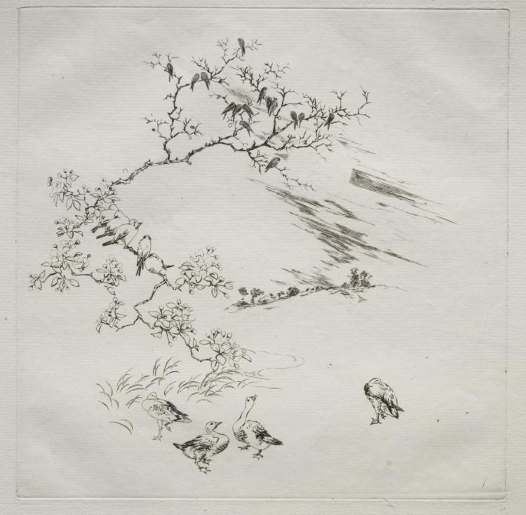 Parisian Service (Haviland service): Night (no. 7)