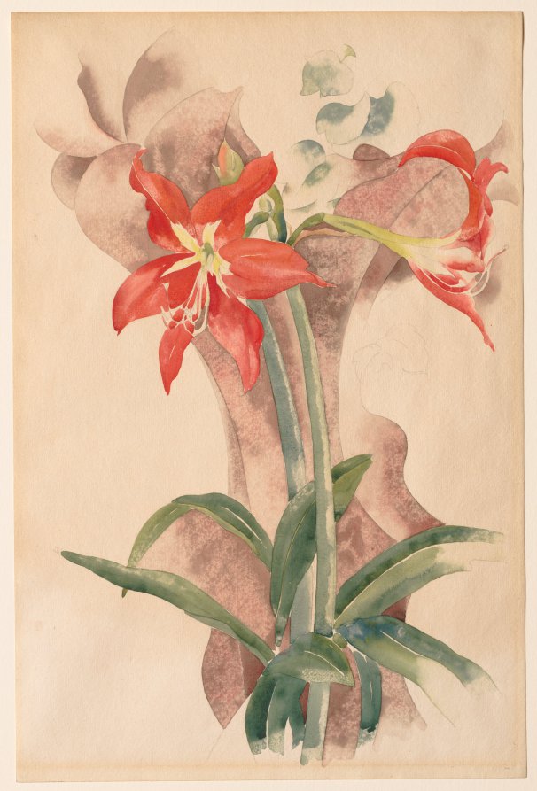 1923.2490_web.jpg