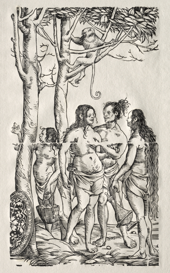 Hottentots with herd