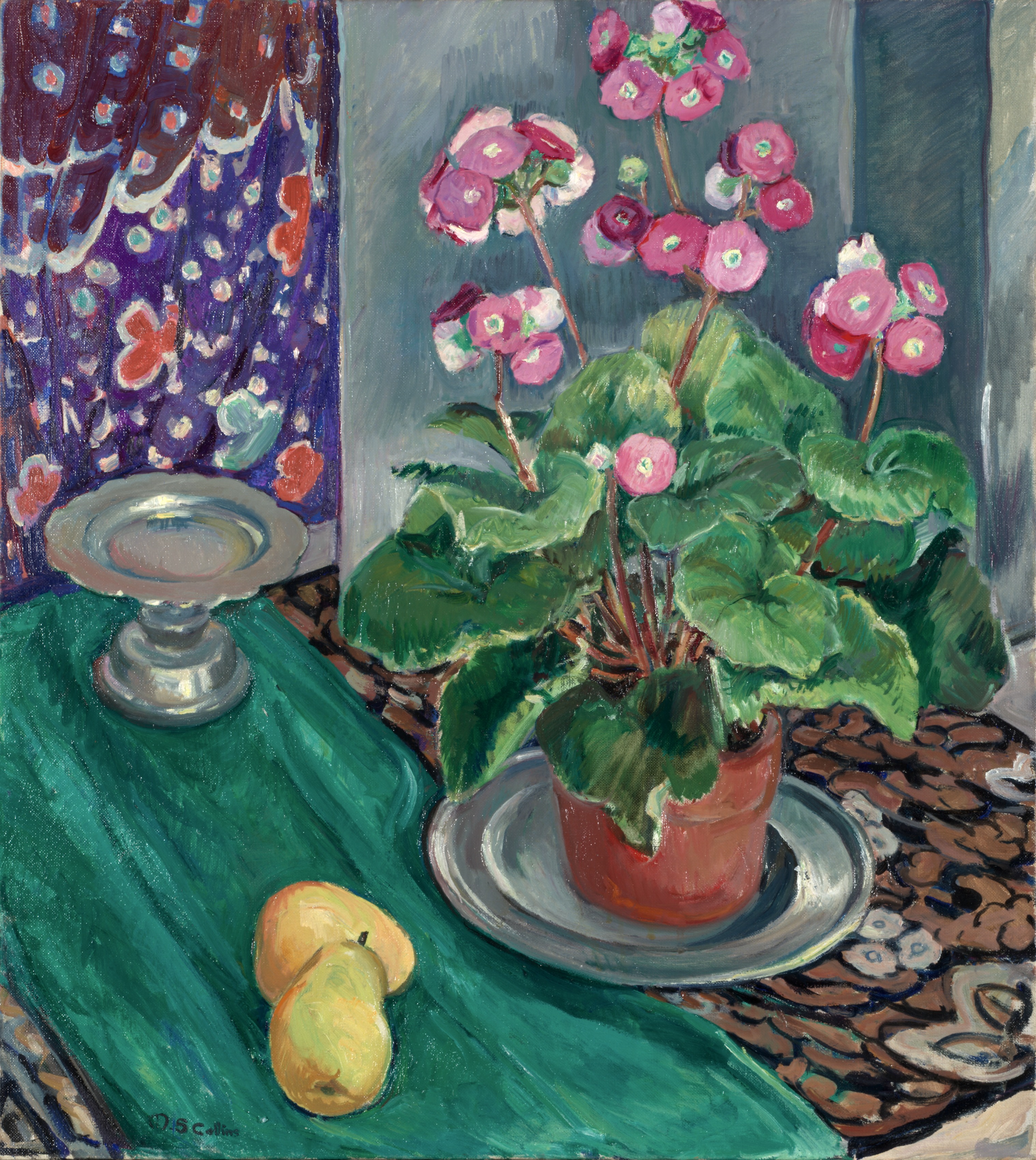 Photo of collection object Primrose