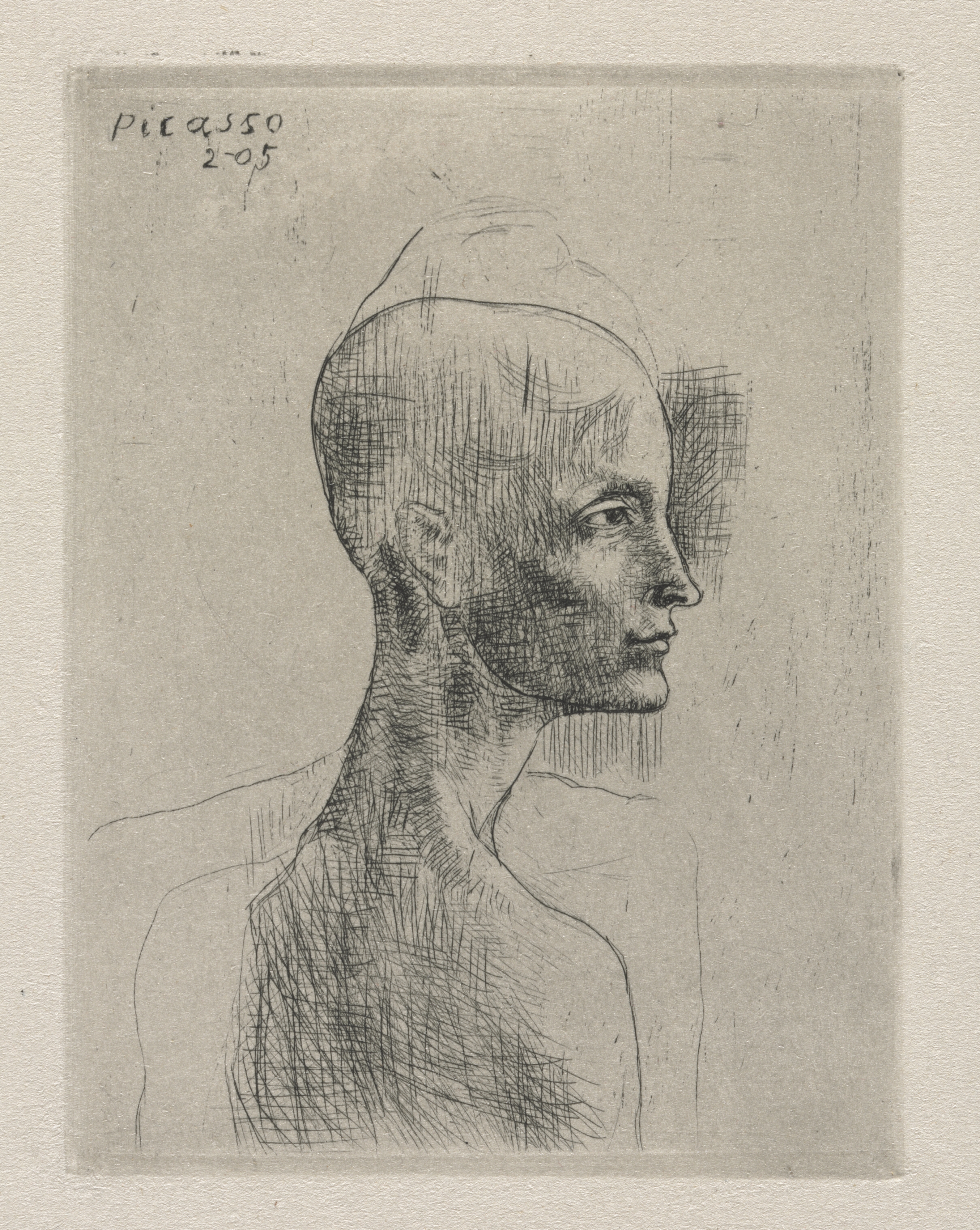 Picasso: Bust of a Man
