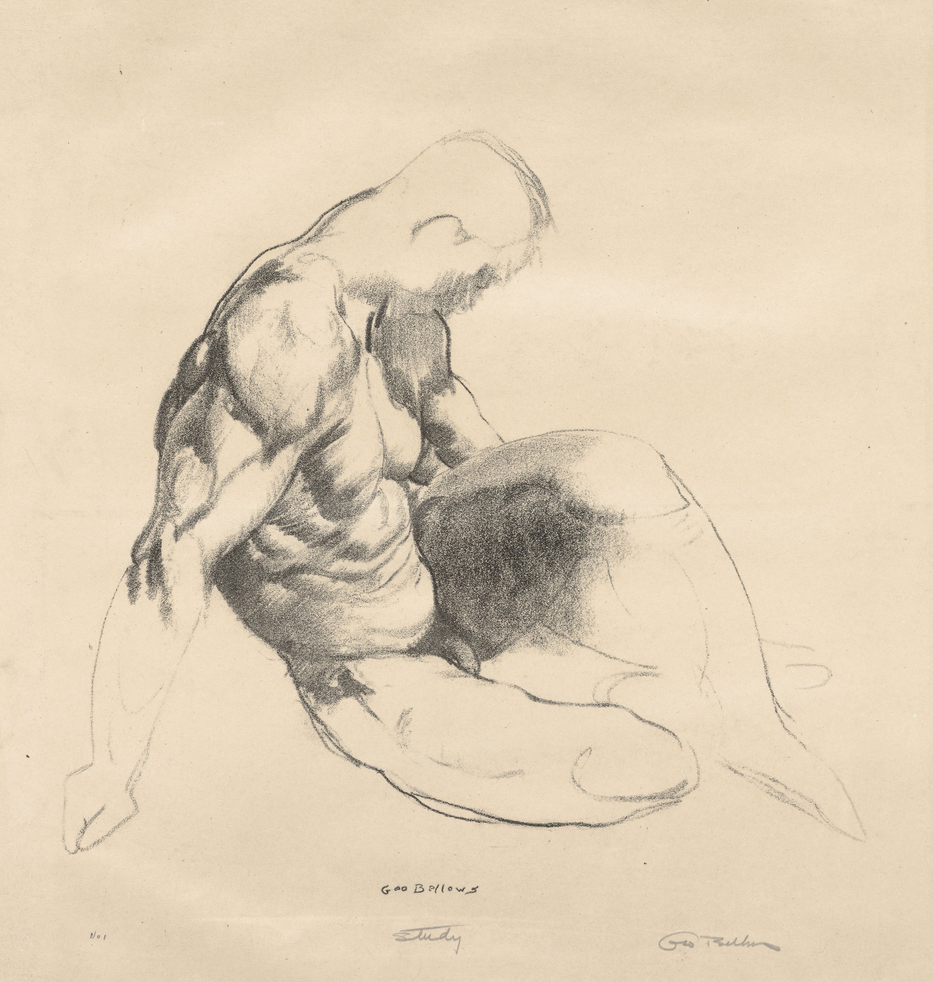 Male Torso