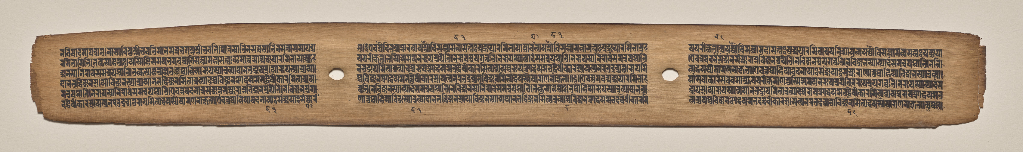 Text, Folio 10 (recto), from a Manuscript of the Perfection of Wisdom in Eight Thousand Lines (Ashtasahasrika Prajnaparamita-sutra)