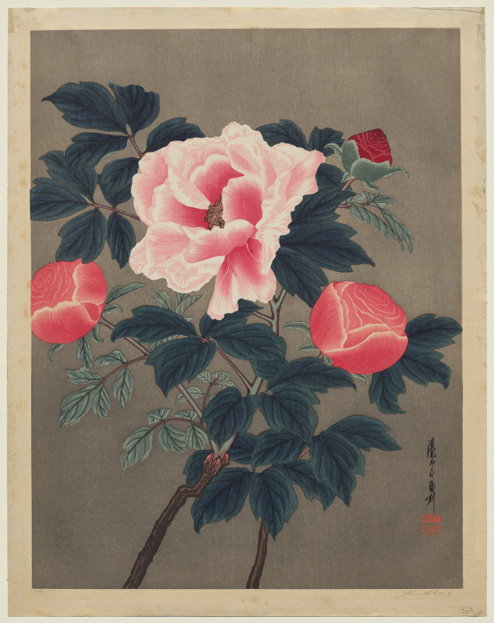 Peonies by Yoshijiro Urushibara