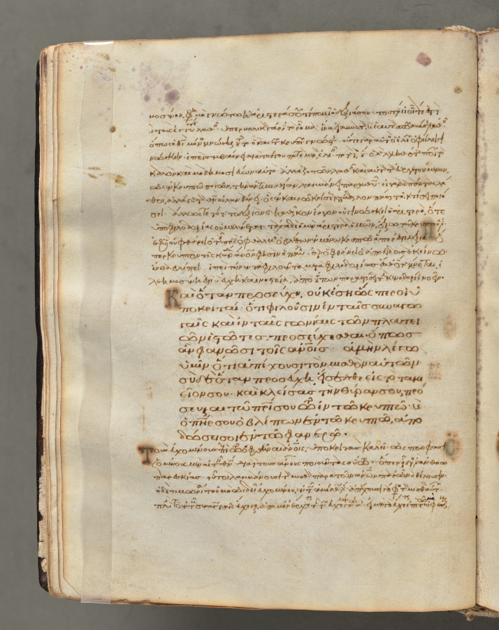 Text, folio 24 (verso), from a Gospel Book with Commentaries
