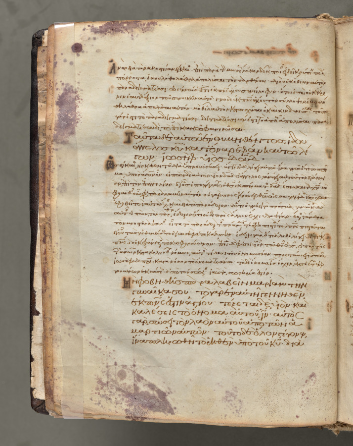 Text, folio 8 (verso), from a Gospel Book with Commentaries