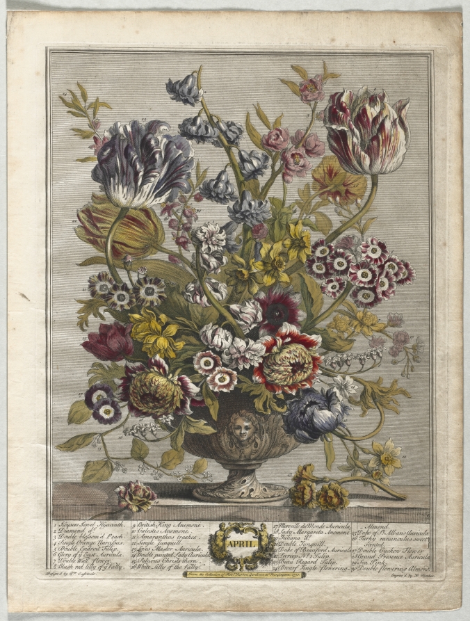 Twelve Months of Flowers:  April