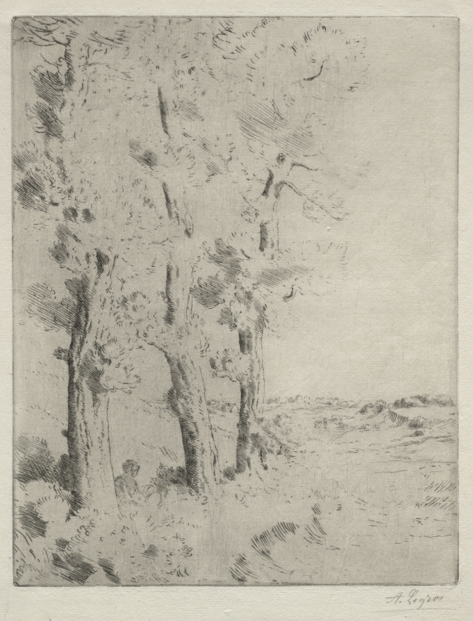 The Reader:  The Lecture under the Trees