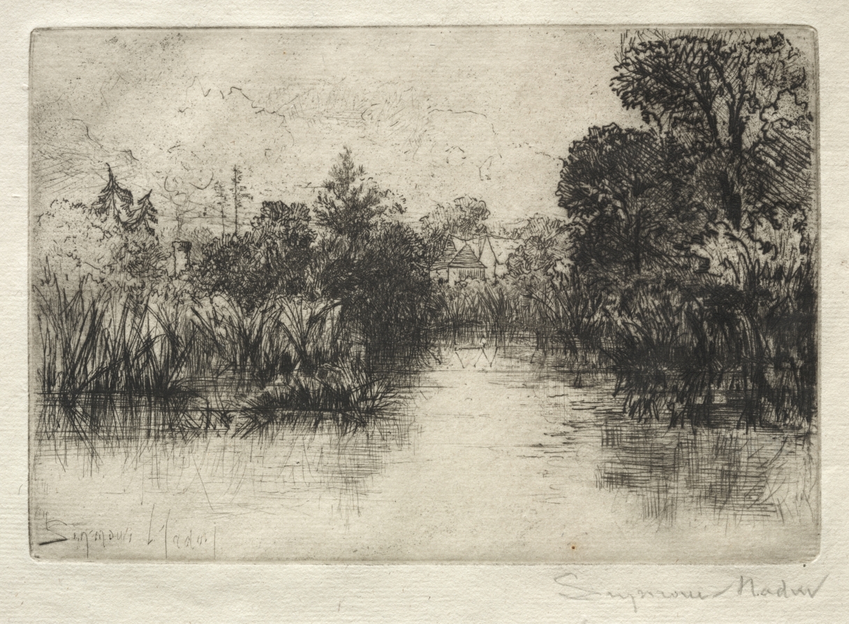Shere Mill Pond (A Small Study)