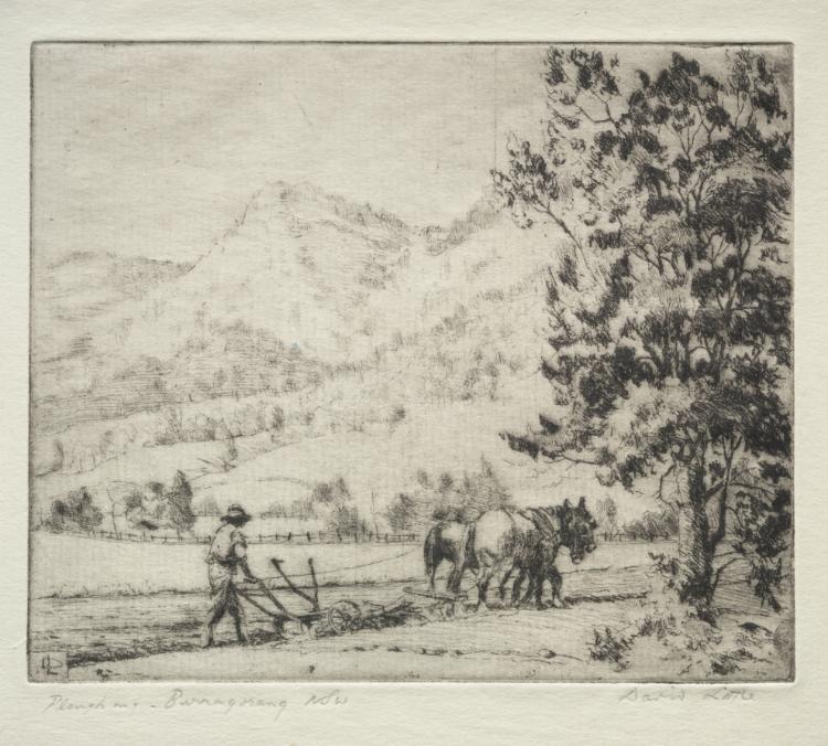 Ploughing - Burragorang, New South Wales, Australia