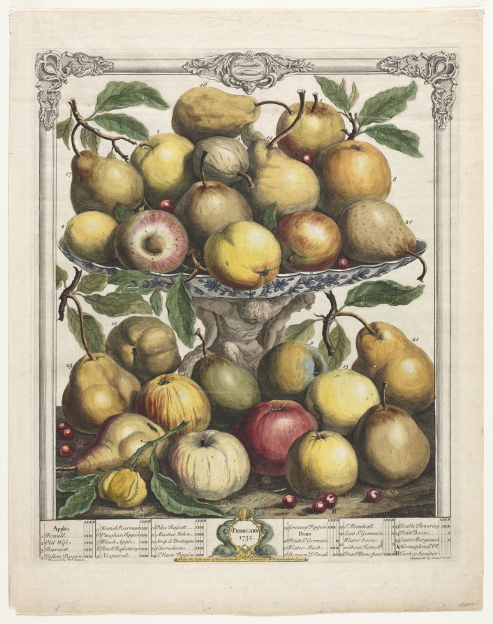 Twelve Months of Fruit:  February