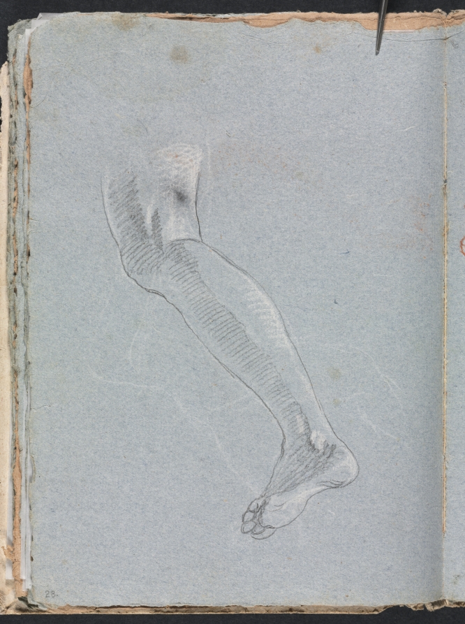 Verona Sketchbook: Left leg (page 28)