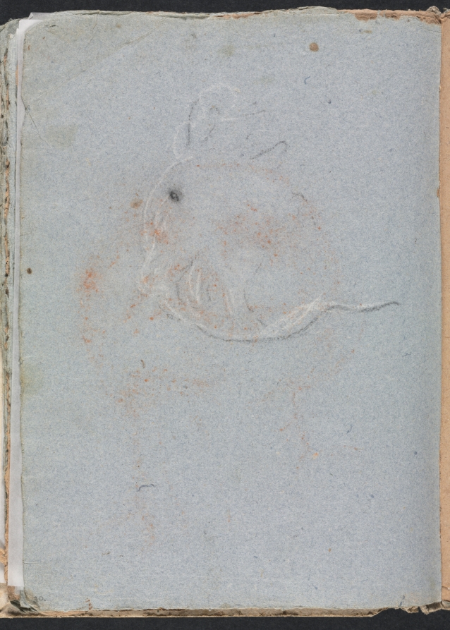 Verona Sketchbook: Head (page 30)