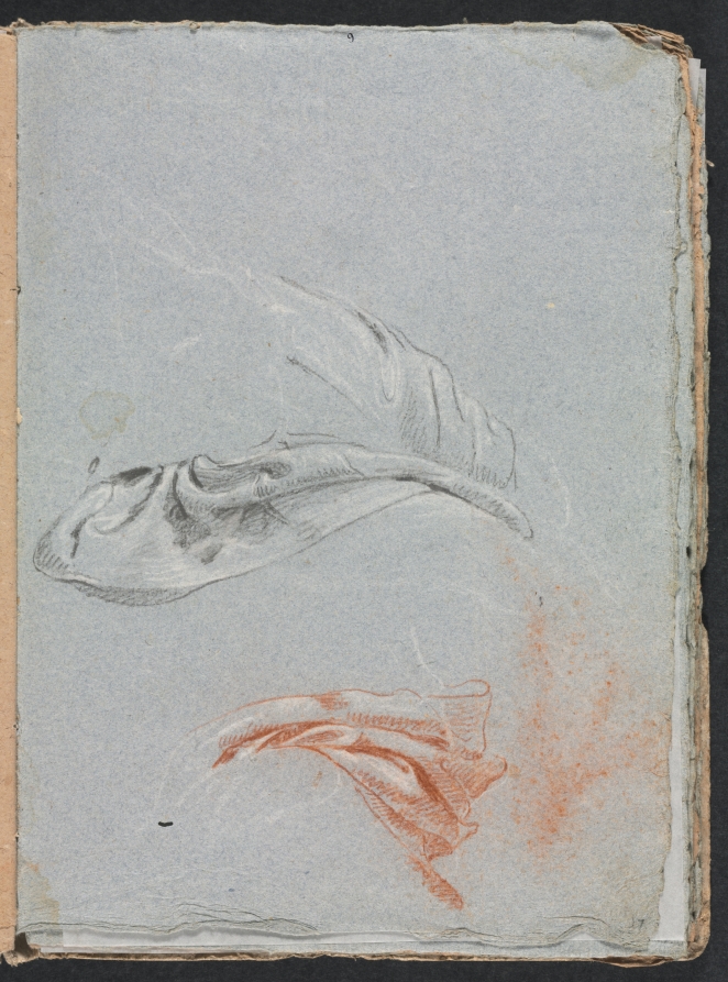 Verona Sketchbook: Drapery studies (page 17)
