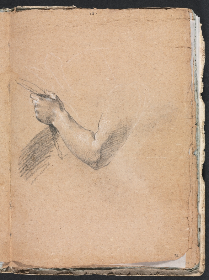 Verona Sketchbook: Left arm and hand (page 75)
