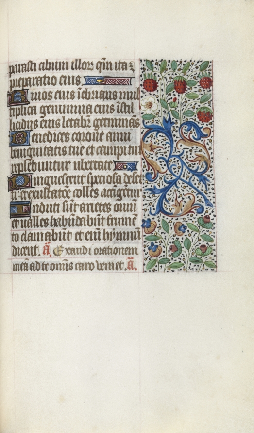 Book of Hours (Use of Rouen): fol. 137r