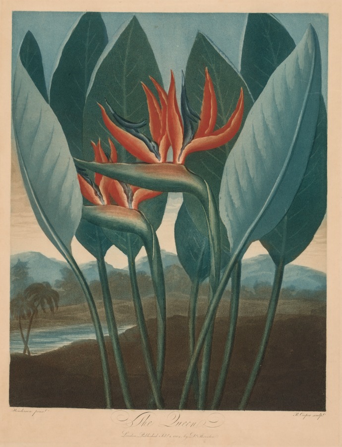 1953.30_web.jpg