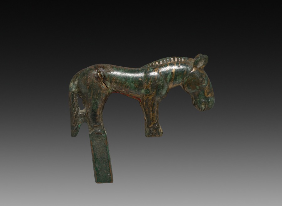 Wild Horse
