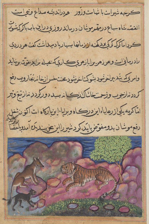 The wolf advises the lion to consult the cat, from a Tuti-nama (Tales of a Parrot): Fifteenth Night