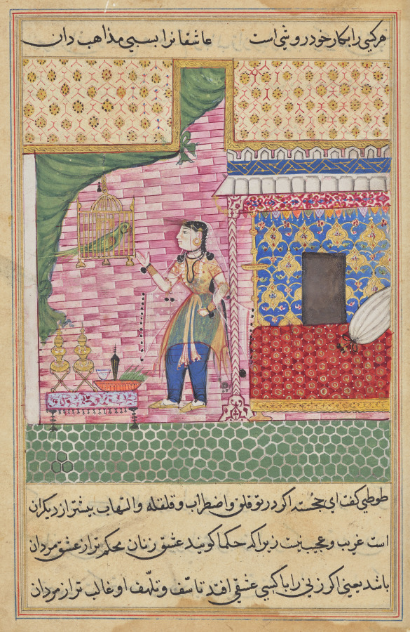 The Parrot Addresses Khujasta at the Beginning of the Seventeenth Night, from a Tuti-nama (Tales of a Parrot)