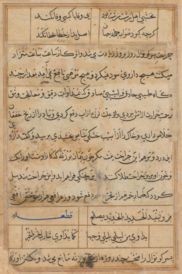 Page from Tales of a Parrot (Tuti-nama): text page