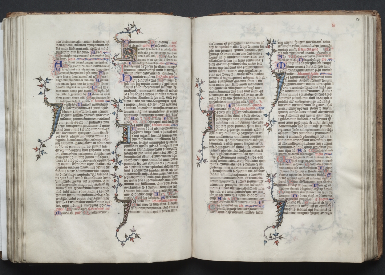 The Gotha Missal:  Fol. 81v, Text