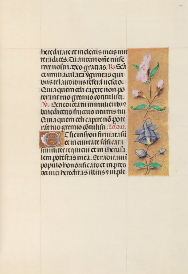 Hours of Queen Isabella the Catholic, Queen of Spain:  Fol. 111r