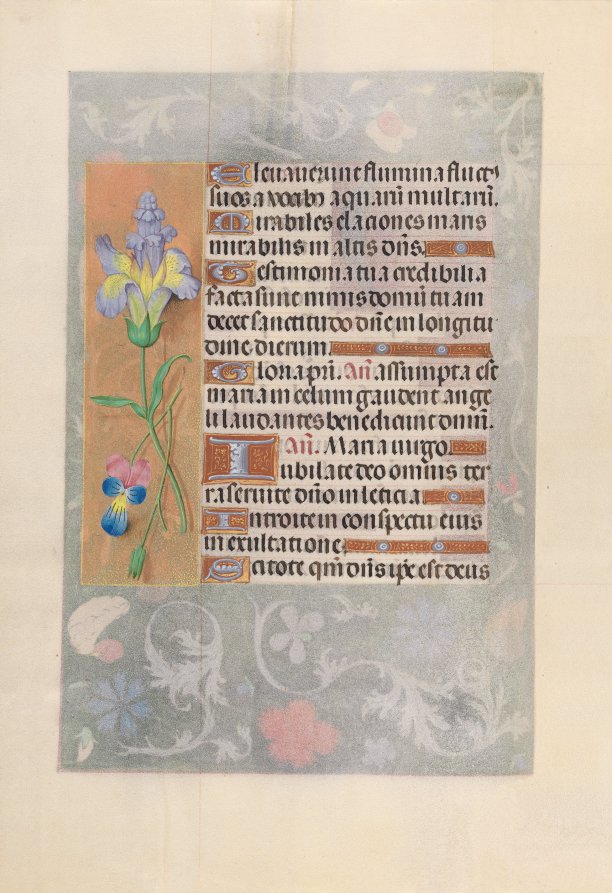 Hours of Queen Isabella the Catholic, Queen of Spain: Fol. 116v