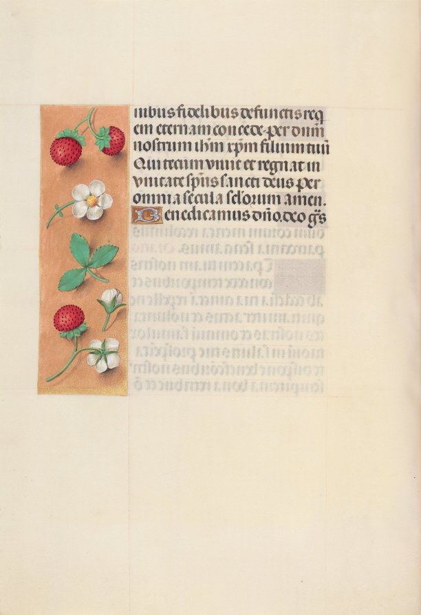 Hours of Queen Isabella the Catholic, Queen of Spain:  Fol. 125v