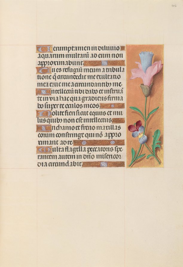 Hours of Queen Isabella the Catholic, Queen of Spain:  Fol. 202r