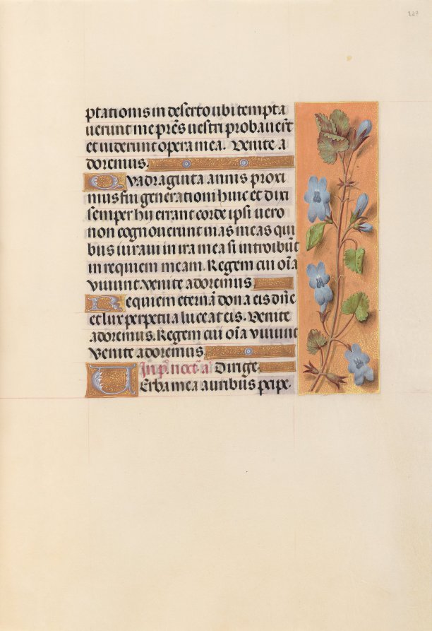 Hours of Queen Isabella the Catholic, Queen of Spain:  Fol. 227r