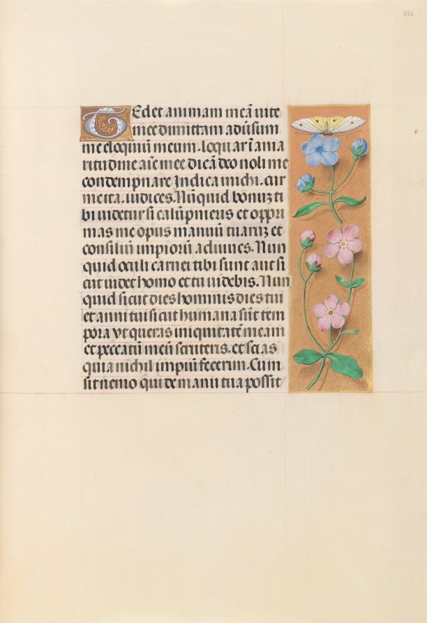 Hours of Queen Isabella the Catholic, Queen of Spain:  Fol. 232r