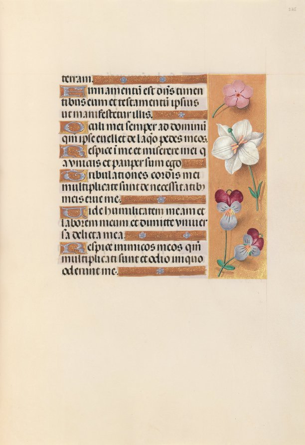 Hours of Queen Isabella the Catholic, Queen of Spain:  Fol. 235r