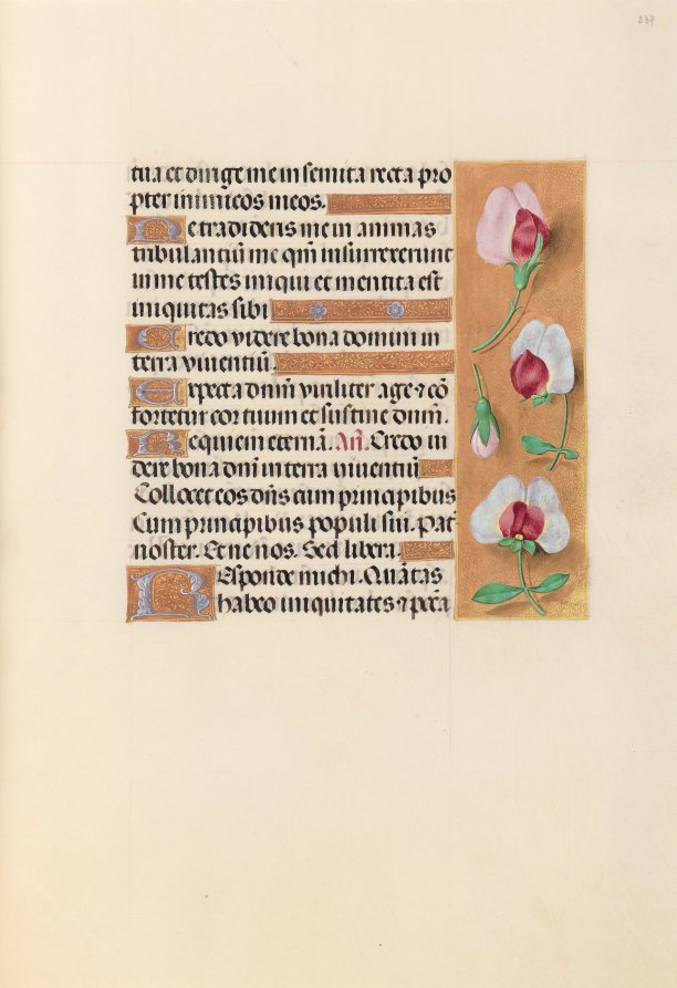 Hours of Queen Isabella the Catholic, Queen of Spain:  Fol. 237r