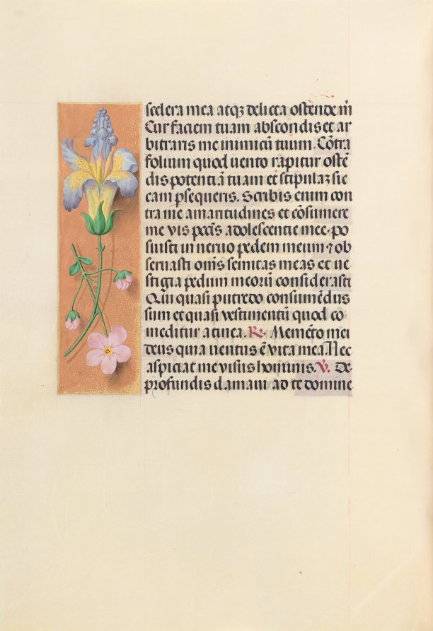 Hours of Queen Isabella the Catholic, Queen of Spain:  Fol. 237v