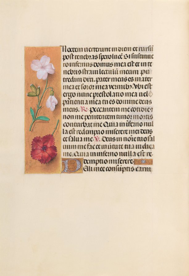 Hours of Queen Isabella the Catholic, Queen of Spain:  Fol. 244v