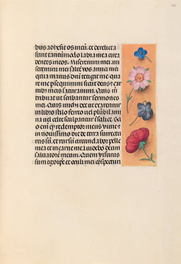 Hours of Queen Isabella the Catholic, Queen of Spain:  Fol. 245r