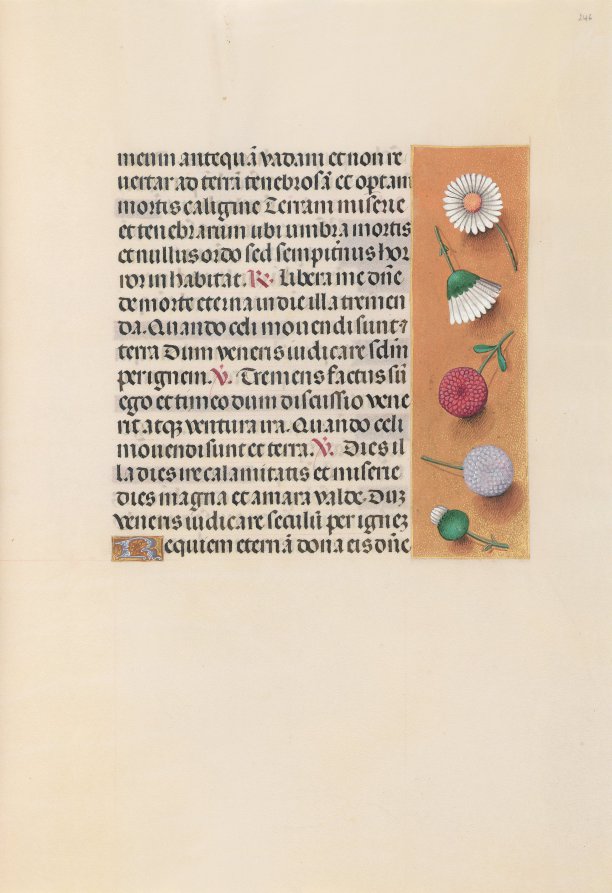 Hours of Queen Isabella the Catholic, Queen of Spain:  Fol. 245r