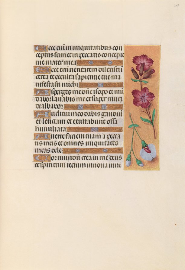 Hours of Queen Isabella the Catholic, Queen of Spain:  Fol. 247r