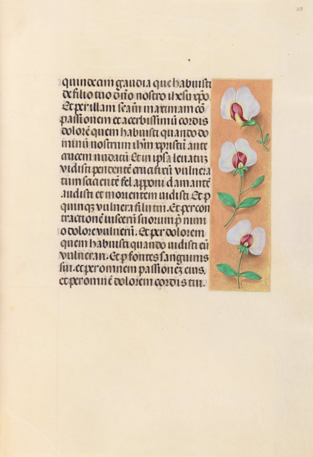Hours of Queen Isabella the Catholic, Queen of Spain:  Fol. 259r