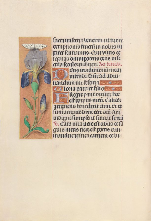 Hours of Queen Isabella the Catholic, Queen of Spain:  Fol. 45v